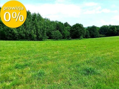 Działka 35,48ar Złota - spokój, natura i piękne widoki!