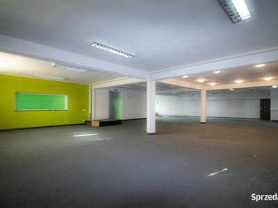 Ogłoszenie lokal Kraków 330m2