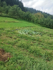 Sprzedam działkę budowlaną