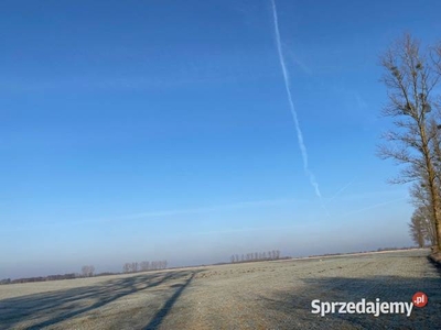 Syndyk sprzeda Nieruchomość w Sownie i Borkowie