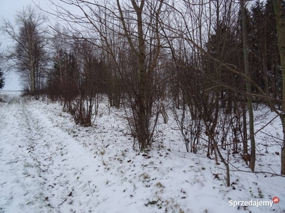 Syndyk sprzeda udział 1/3 w działce w Smardzewie (gm. Sławno)