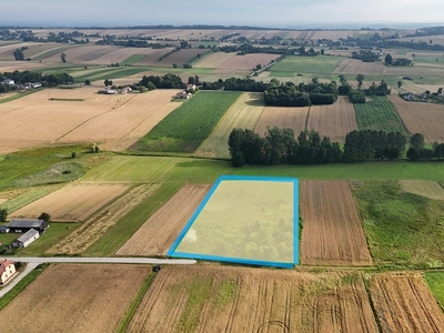 Sprzedam siedlisko w Bożej Woli gm. Adamów