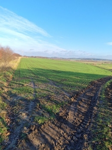 Działka budowlana 20258m Gołębiewo Wielkie.