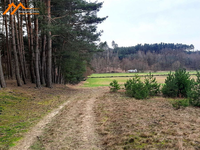 Międzychodzki, Chrzypsko Wielkie, Chrzypsko Małe, Centrum