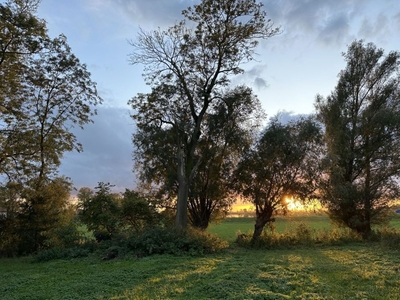 Siedlisko 22100 m2 , dwór 200m2, 400m linii brzegowej.