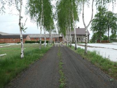 Gospodarstwo rolne na sprzedaż Gniew, Opalenie