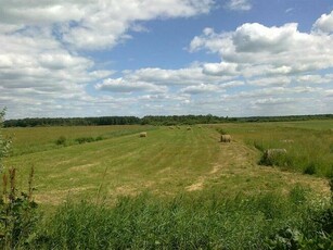 Ładna działka na Warmii. 1 ha, teren ekologiczny