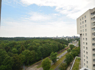 Chorzowska Tysiąclecia Katowice Śląskie Biuro Nieruchomości