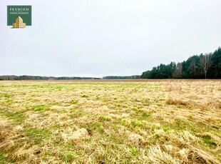 Działka rolna z możliwością przekształcenia na budowlaną.