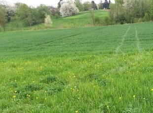 Działka rolno-Budowlana Błędowa Tyczyńska sprzedam