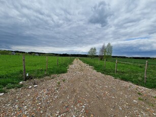 Dom w stanie surowym zamkniętym Pątnów Legnicki