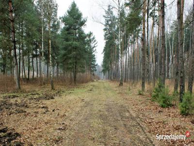 6600m2 dz.budowlana, w Majdanie gm. Wiązowna ok. A2 i S17