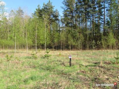 Atrakcyjna działka o pow. 983m2 - NIEWODNICA KOŚCIELNA