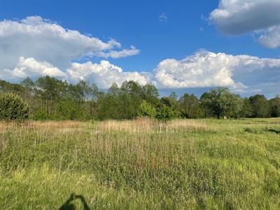 Działka budowlana Arciechów