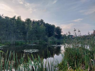 Działka budowlana Kretowiny