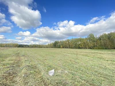 Działka budowlana Pustelnik, ul. Graniczna