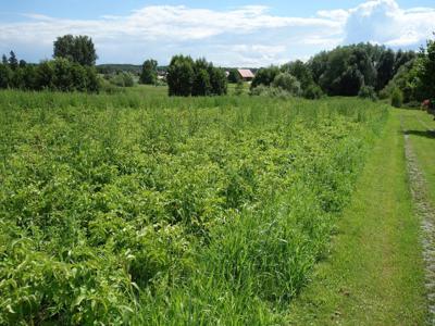 Działka budowlana Rudno