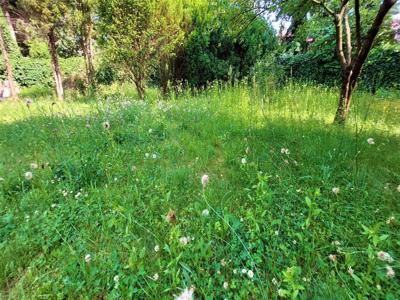 Działka budowlana Warszawa Wawer, ul. Klimontowska