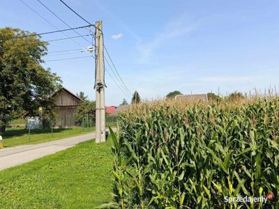 Działki budowlane - Pierszyce, gm. Żabno, małopolskie