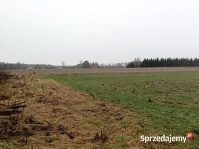 Działka budowlano - rolna 0,1256 ha Rozkopaczew