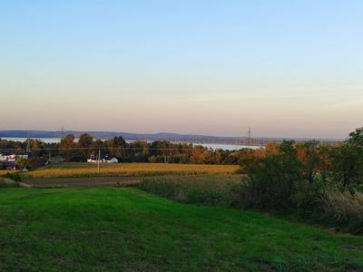 Działka inna Chełm Śląski, ul. Skalna