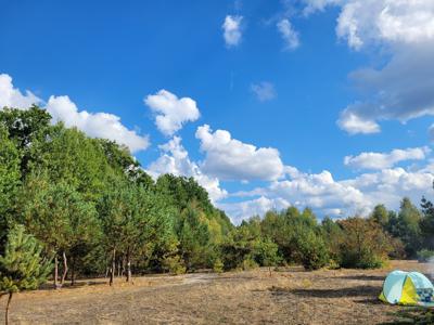 Działka na sprzedaż Krzemień/Biała Góra n. Pilicą