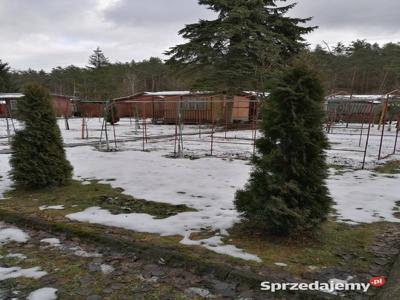 Działka rod zalesie Starachowice