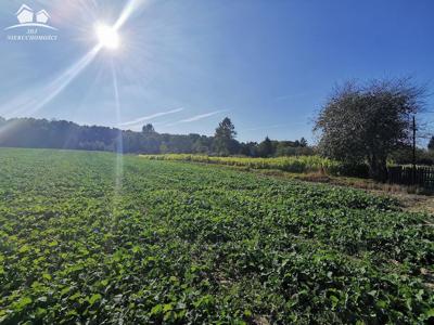 Działka rolna Majdan Skierbieszowski