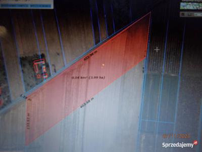 działka rolna z możliwością zabudowy