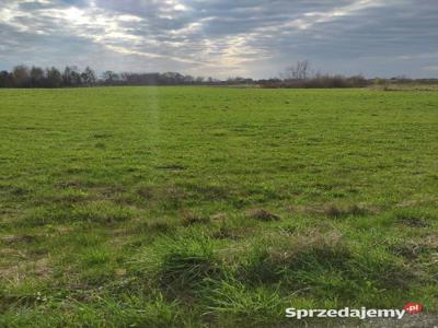 Działka z warunkami zabudowy w miejscowości Kałęczyny