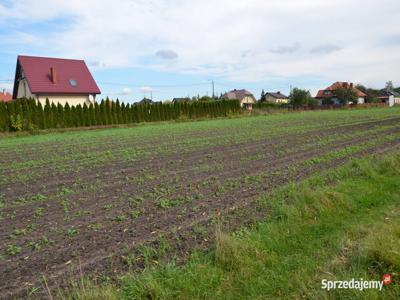 Na sprzedaż działka budowlana w Gostyninie