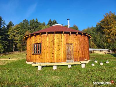 Niesamowite siedlisko w samym sercu lasu