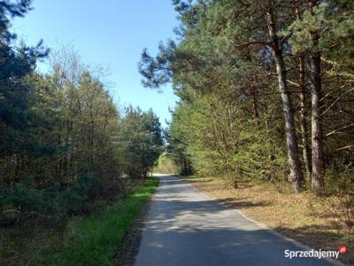 Nowa cena !!! Działka przy lesie Drogoszowice k/ Twardogóry