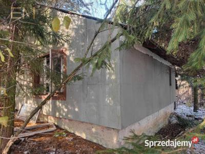 Oferta sprzedaży gruntu 6000m2 Babica