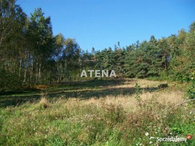 Oferta sprzedaży gruntu Zrębice 3570m2