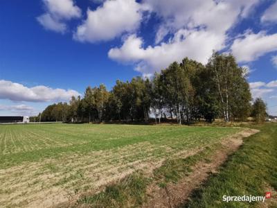 Sprzedaż działki Sieradz 2469m2