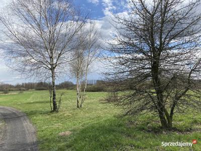 Sprzedam działkę rolną 3700 m2, przy drodze asfaltowej