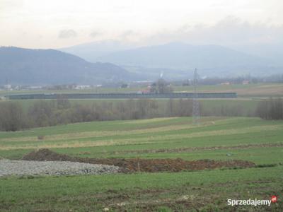 syndyk sprzeda udziały w działce w Pietrzykowicach