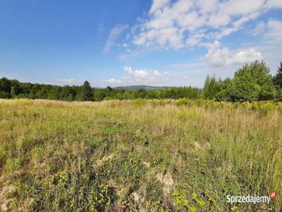 Widokowa działka z WZ, Siedliska -20ar