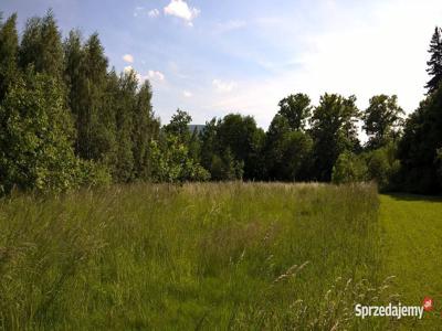 Świeradów Zdrój/Pobiedna - działki budowlane.