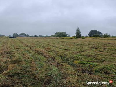 Ziemia pod farmę sloneczną 0.98h.+45a.