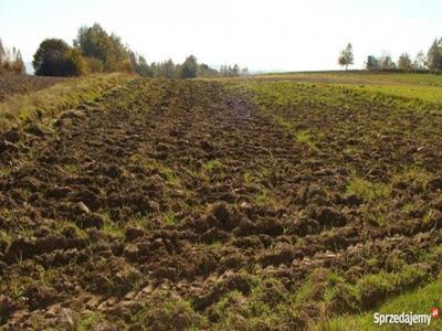 Zwierzno - 7000000 m2