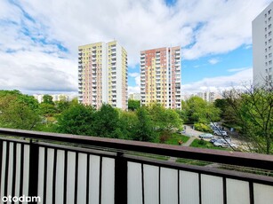 Kopalniana 1 | apartament 2-pok. | 33