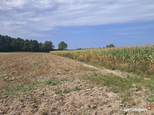 Malinówka, gm. Cyców - działka budowlana