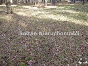 Oferta sprzedaży gruntu Borowina 14000m2