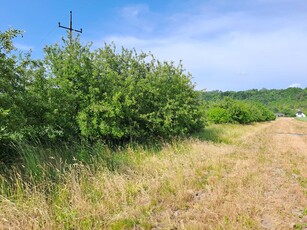 Działka rolna 0,24ha, wieś Dobre koło Wilkowa (wym: 8mX300m)