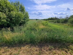 Działka rolna 0,35ha, wieś Dobre koło Wilkowa. (wym: 8mx440m)