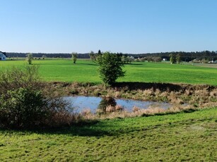 Stary Jaśiniec koło Koronowa