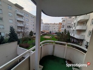 Wynajem Toruń 65 m² Sobieskiego 18