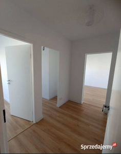 2 pokojowe na 1 piętrze po remoncie Opole Dambonia 38m2